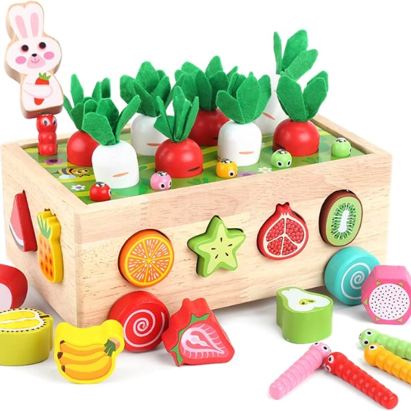 Wooden Skill Development Toys